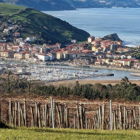 Zumaia Basque Alai Apartment Exterior foto
