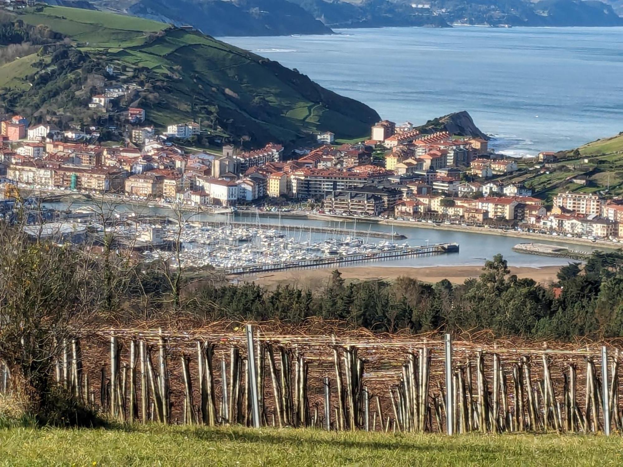 Zumaia Basque Alai Apartment Exterior foto